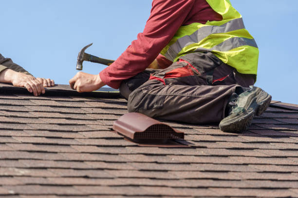 Best Gutter Installation and Roofing  in Homeland, GA