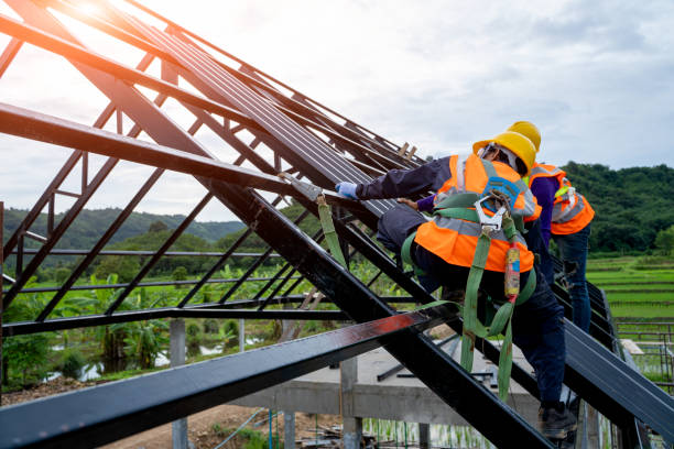 Gutter Installation and Roofing in Homeland, GA