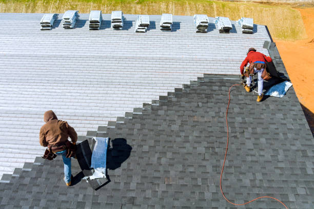 Best Flat Roof Repair Services  in Homeland, GA