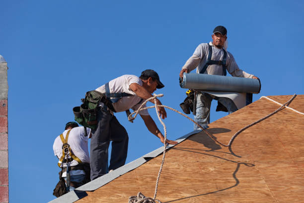 Best Best Roofing Contractors  in Homeland, GA