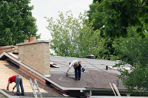 Best Storm Damage Roof Repair  in Homeland, GA