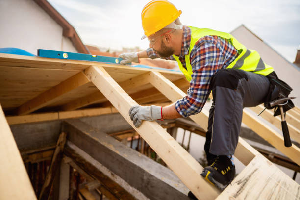 Best Local Roofing Companies  in Homeland, GA