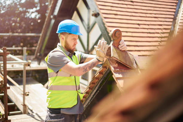 Professional Roofing Contractor in Homeland, GA