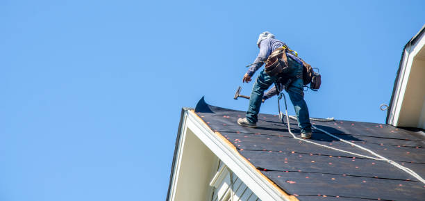 Best Roof Leak Repair  in Homeland, GA